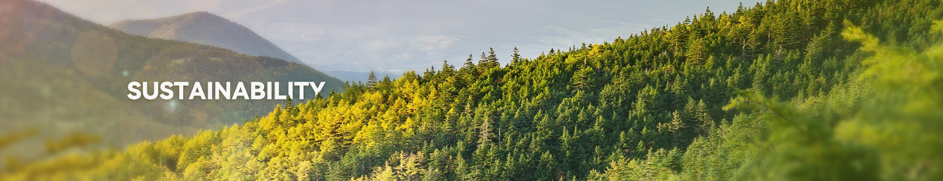  Sostenibilidad